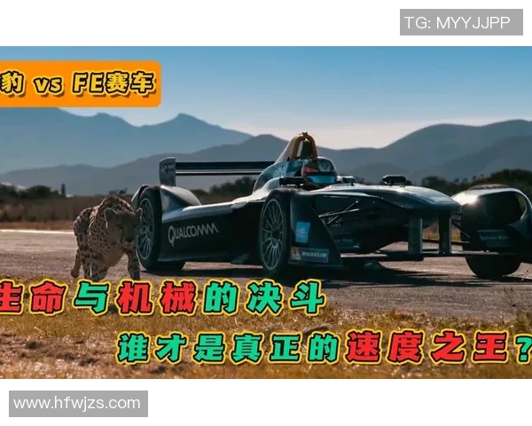 赛后复盘：西安网球队与上海网球队速度对决的精彩分析与总结