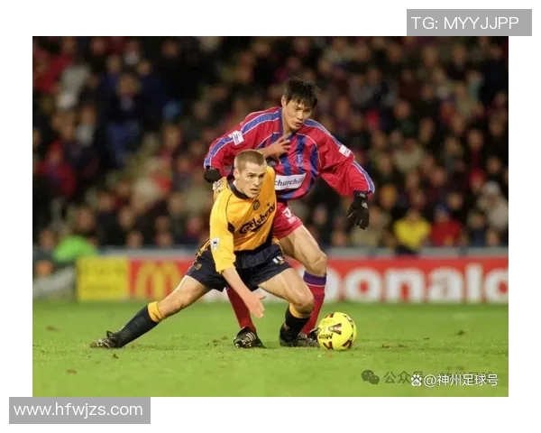 足球明星为何对观众动手引发热议背后的真相与影响分析